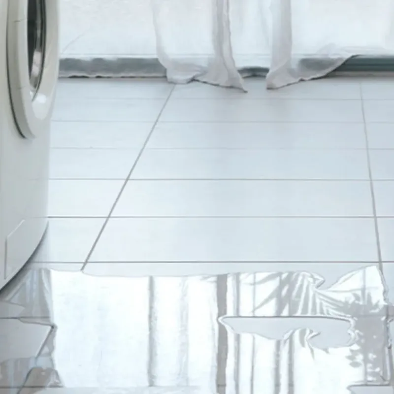 Appliance Leak Cleanup in Hartselle, AL