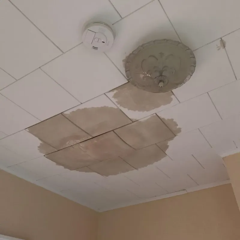 Ceiling Water Damage Repair in Hartselle, AL