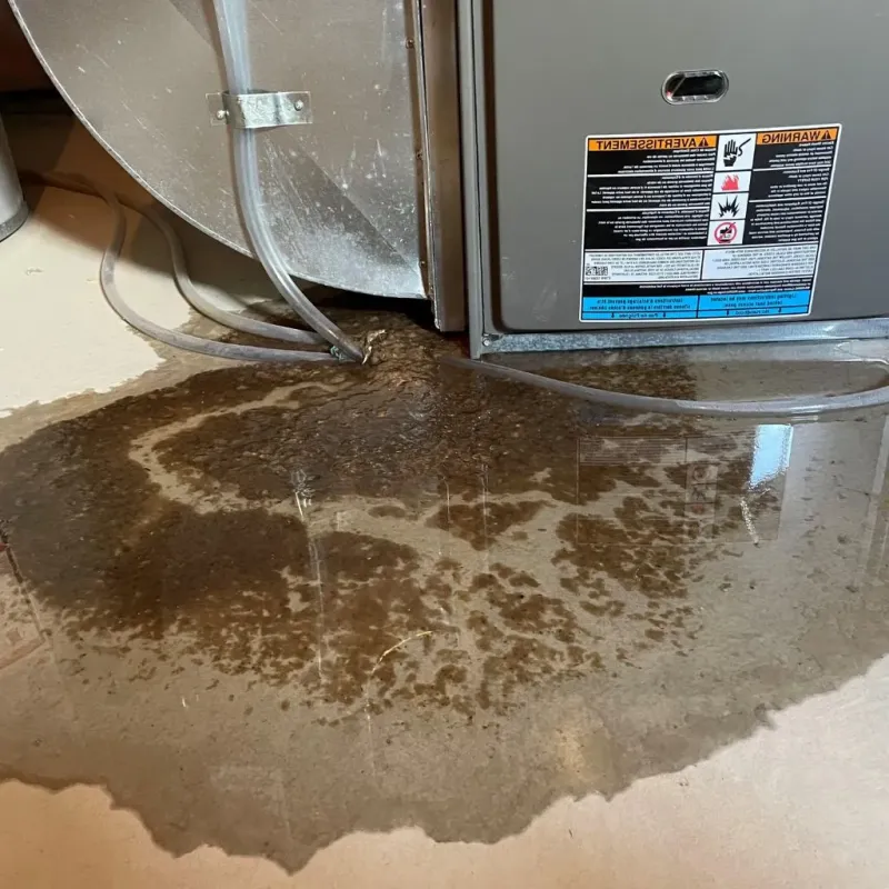 Pipe Burst and Leak Restoration in Hartselle, AL