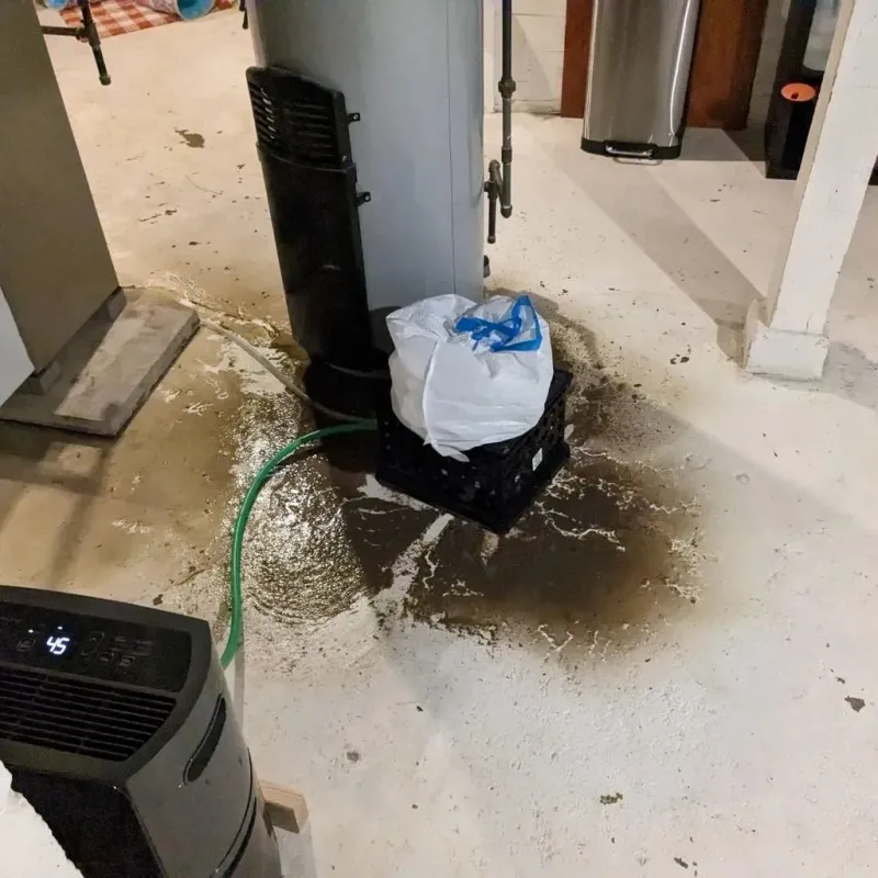 Sewage Backup Cleanup Service in Hartselle, AL